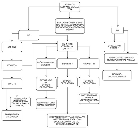 fig1 index03 text 4 adenoca esofago teg