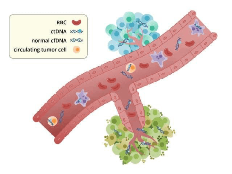 drops ctdna